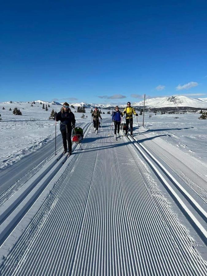 Golsfjellet - Bualie, Milevis Med Sykkelveier, Fiske Og Vannaktivitet, Ski Inn/Ut Til Alpinanlegg Og Langrennsloyper. Kültér fotó