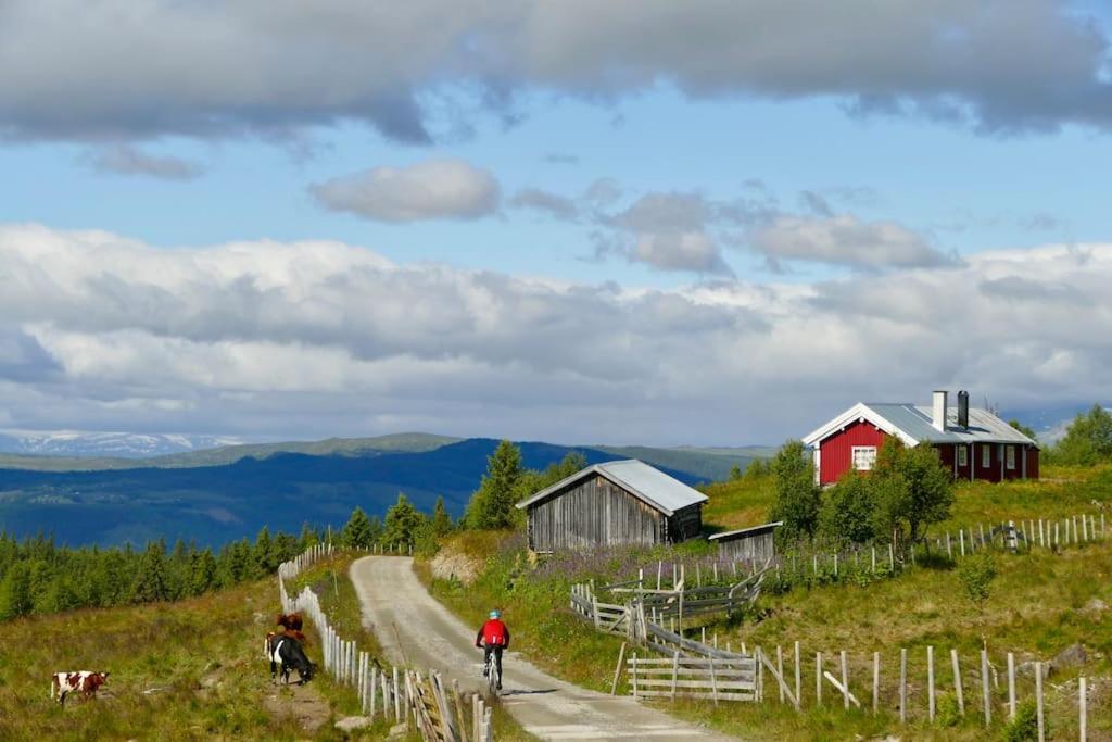 Golsfjellet - Bualie, Milevis Med Sykkelveier, Fiske Og Vannaktivitet, Ski Inn/Ut Til Alpinanlegg Og Langrennsloyper. Kültér fotó