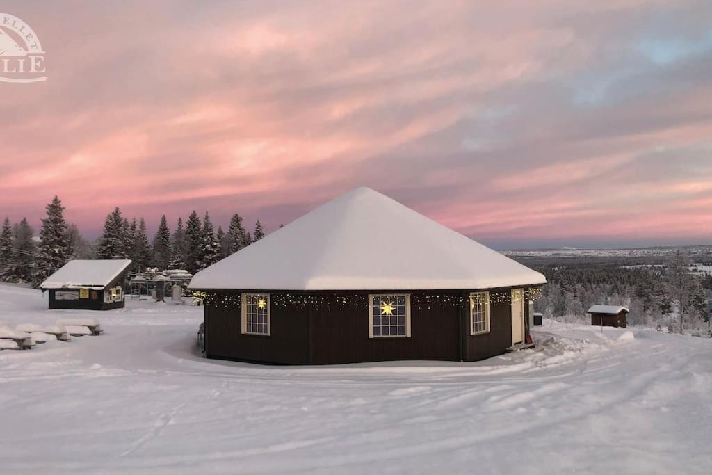 Golsfjellet - Bualie, Milevis Med Sykkelveier, Fiske Og Vannaktivitet, Ski Inn/Ut Til Alpinanlegg Og Langrennsloyper. Kültér fotó