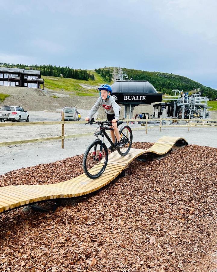 Golsfjellet - Bualie, Milevis Med Sykkelveier, Fiske Og Vannaktivitet, Ski Inn/Ut Til Alpinanlegg Og Langrennsloyper. Kültér fotó